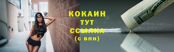 ALPHA-PVP Богородицк